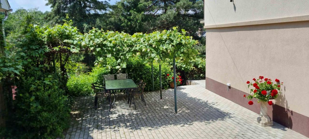 Lugas Apartman Miskolctapolca 2 Haloszoba Dezsa Es Jakuzzi Koezel A Barlangfuerdohoez Eksteriør billede